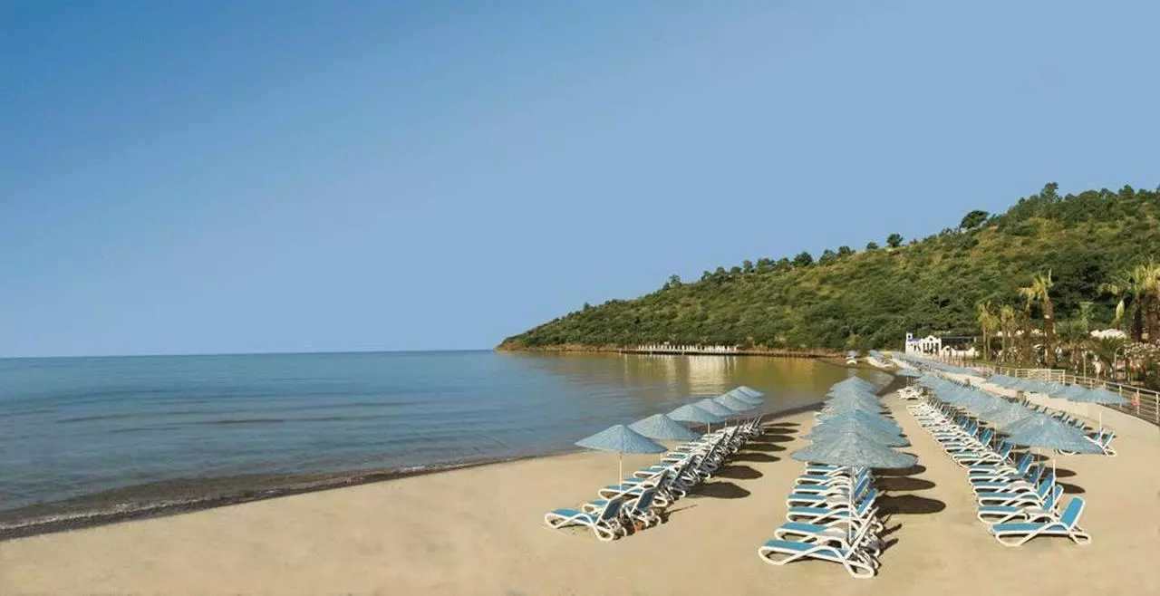 PALOMAPASHA_SHABAVIZ (19).jpg